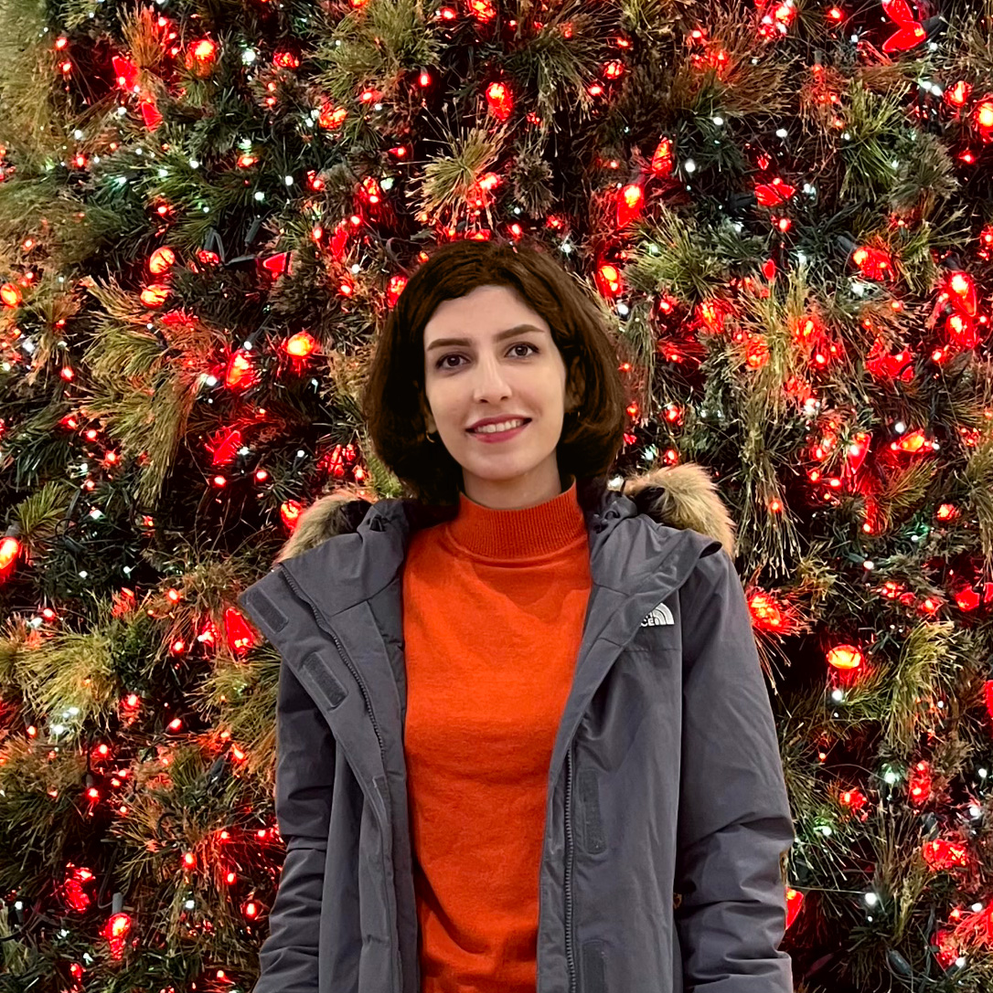 Aida Aminian